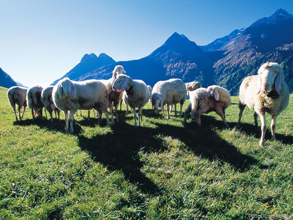 First Mountain Hotel Oetztal Langenfeld Ngoại thất bức ảnh